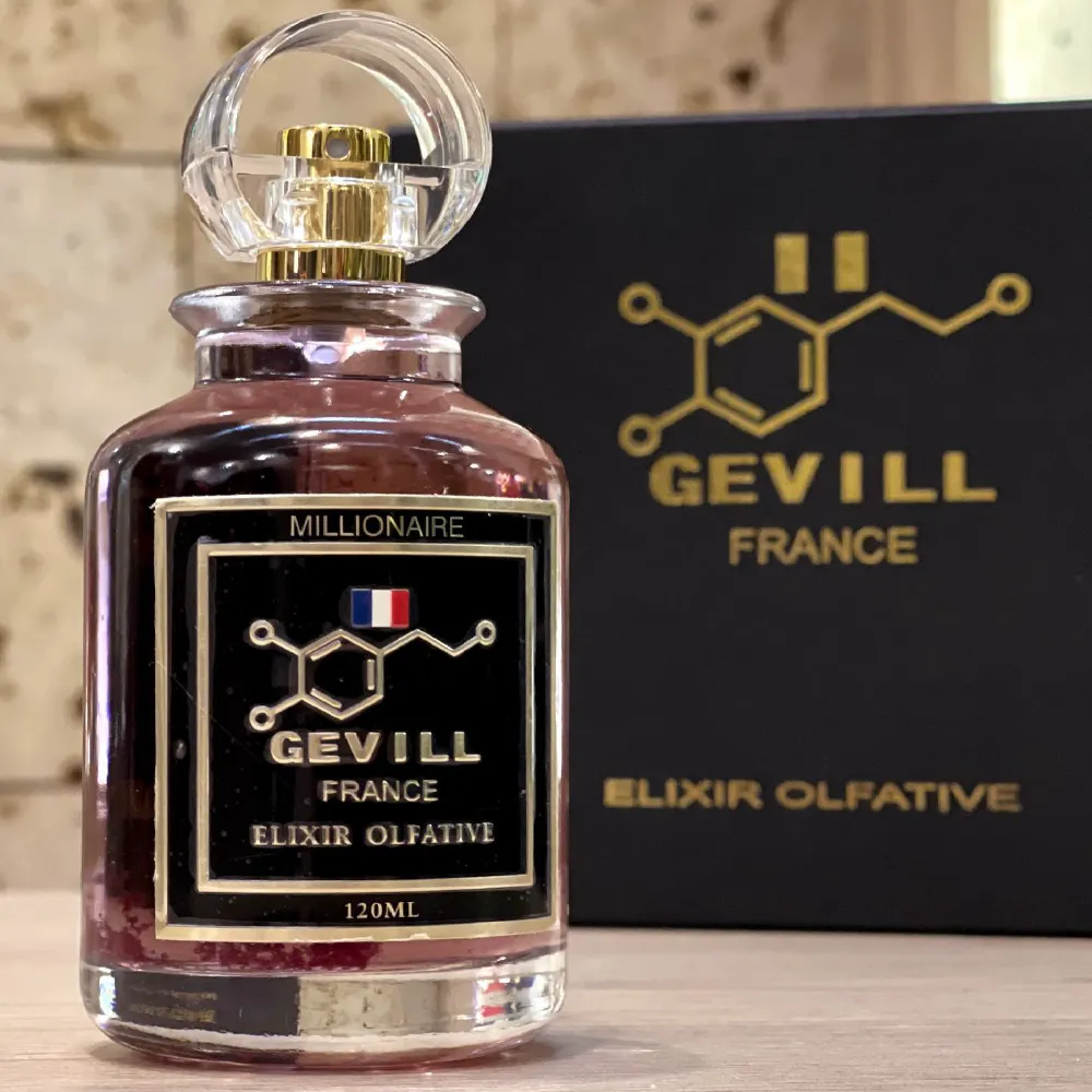 Gevill France Millionaire