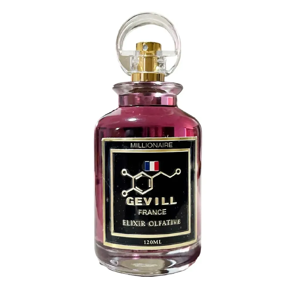 Gevill France Millionaire